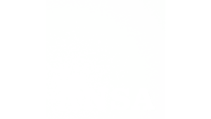 Ansa